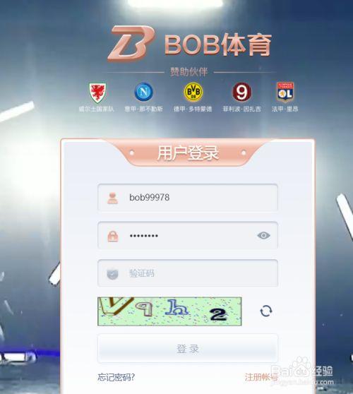 bob电竞网站（bo博电竞）